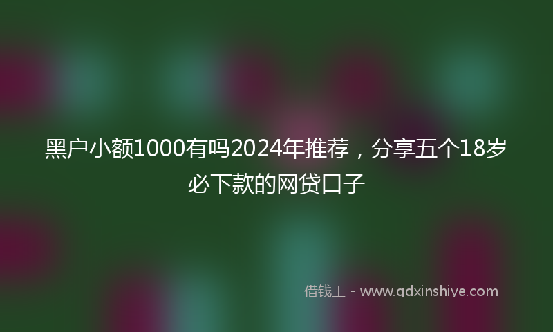 黑户小额1000有吗2024年推荐，分享五个18岁必下款的网贷口子