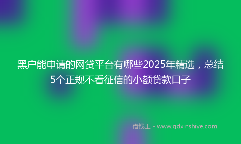 黑户能申请的网贷平台有哪些2025年精选，总结5个正规不看征信的小额贷款口子