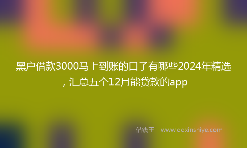 黑户借款3000马上到账的口子有哪些2024年精选，汇总五个12月能贷款的app