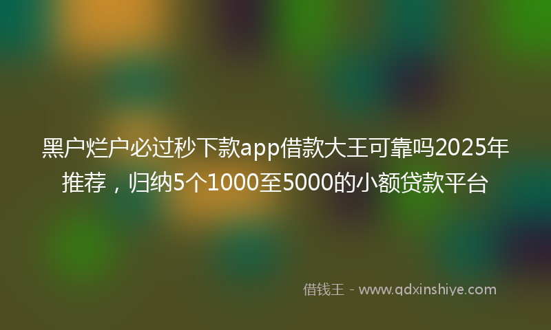 黑户烂户必过秒下款app借款大王可靠吗2025年推荐，归纳5个1000至5000的小额贷款平台