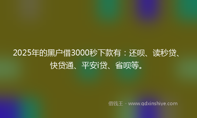 2025年的黑户借3000秒下款有：还呗、读秒贷、快贷通、平安i贷、省呗等。