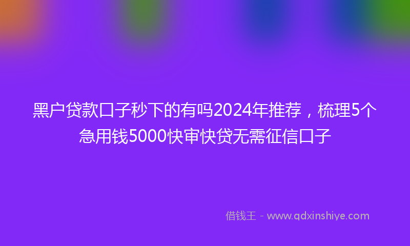 黑户贷款口子秒下的有吗2024年推荐，梳理5个急用钱5000快审快贷无需征信口子