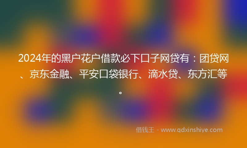 2024年的黑户花户借款必下口子网贷有：团贷网、京东金融、平安口袋银行、滴水贷、东方汇等。