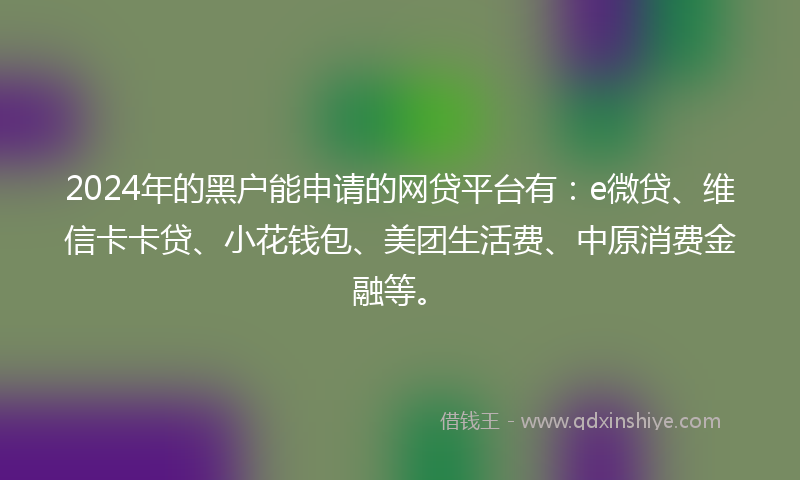 2024年的黑户能申请的网贷平台有：e微贷、维信卡卡贷、小花钱包、美团生活费、中原消费金融等。