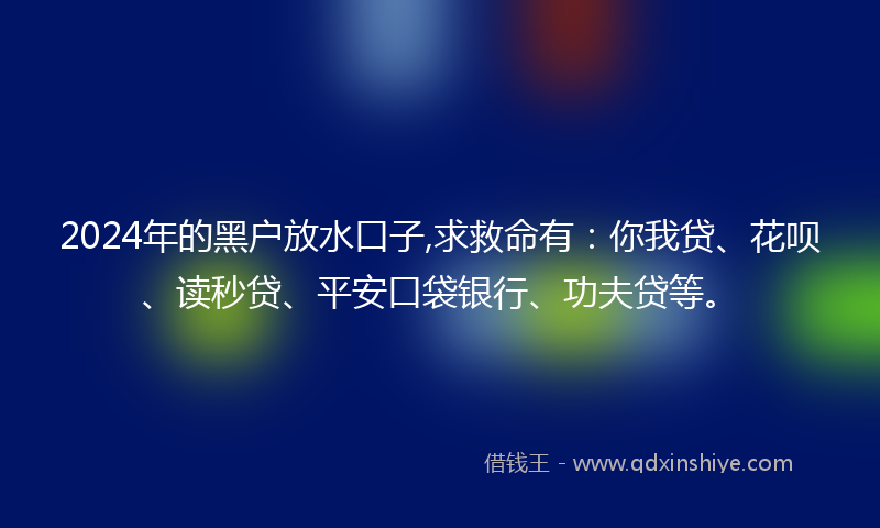 2024年的黑户放水口子,求救命有：你我贷、花呗、读秒贷、平安口袋银行、功夫贷等。