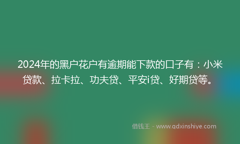 2024年的黑户花户有逾期能下款的口子有：小米贷款、拉卡拉、功夫贷、平安i贷、好期贷等。