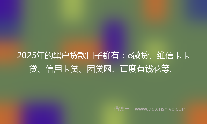 2025年的黑户贷款口子群有：e微贷、维信卡卡贷、信用卡贷、团贷网、百度有钱花等。