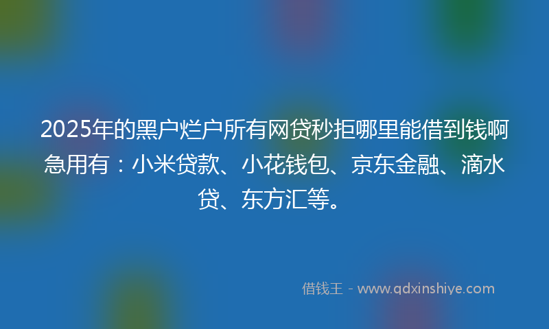 2025年的黑户烂户所有网贷秒拒哪里能借到钱啊急用有：小米贷款、小花钱包、京东金融、滴水贷、东方汇等。