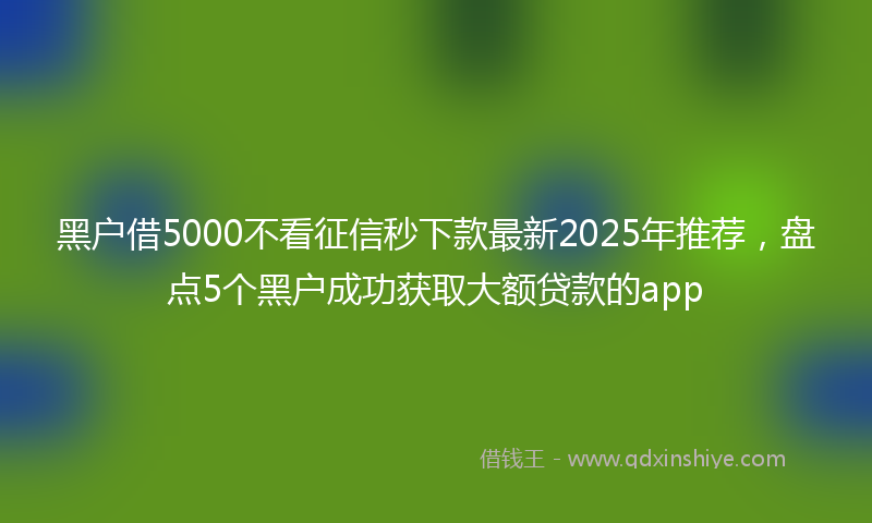 黑户借5000不看征信秒下款最新2025年推荐，盘点5个黑户成功获取大额贷款的app