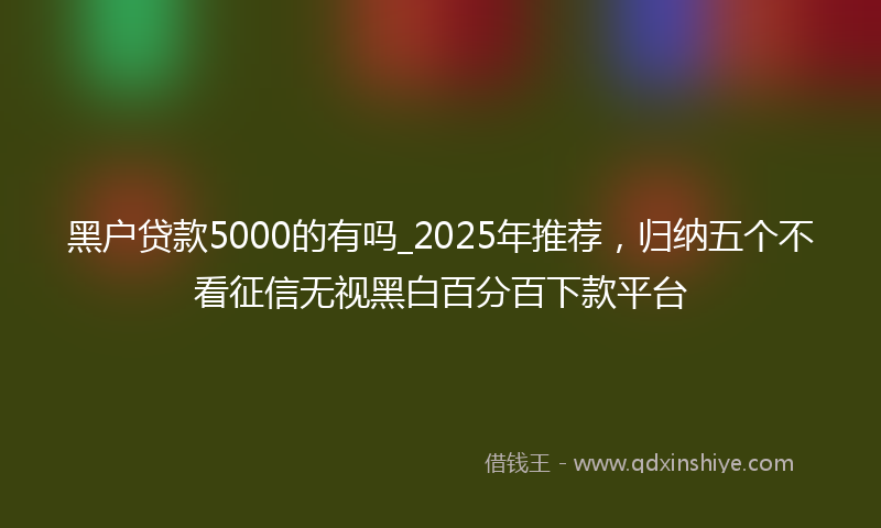 黑户贷款5000的有吗_2025年推荐，归纳五个不看征信无视黑白百分百下款平台