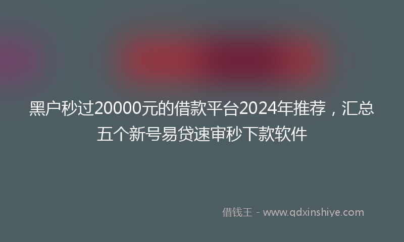 黑户秒过20000元的借款平台2024年推荐，汇总五个新号易贷速审秒下款软件