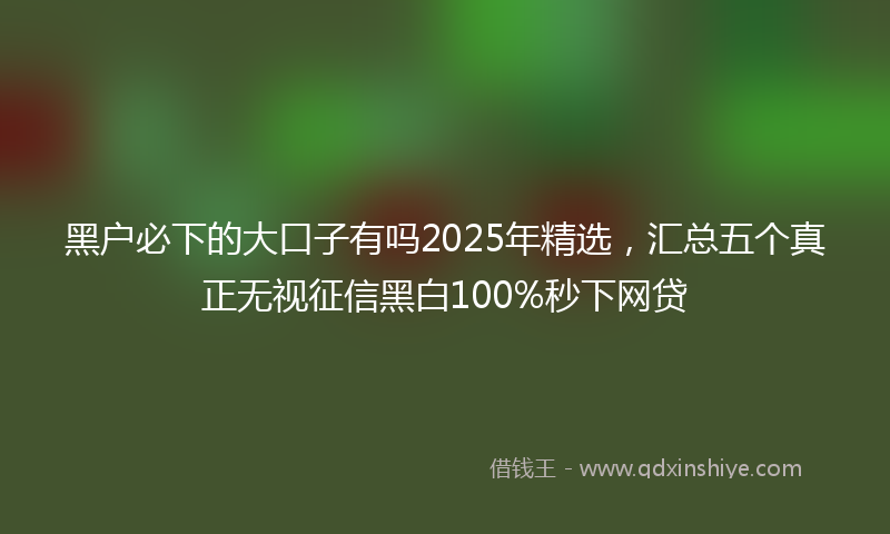 黑户必下的大口子有吗2025年精选，汇总五个真正无视征信黑白100%秒下网贷
