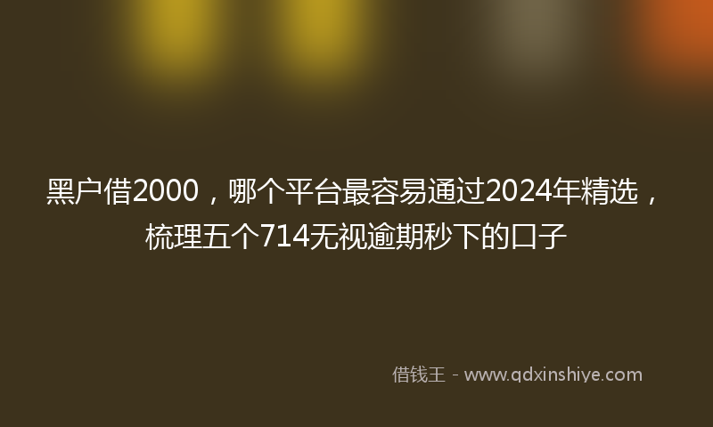 黑户借2000，哪个平台最容易通过2024年精选，梳理五个714无视逾期秒下的口子