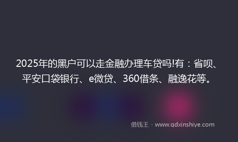 2025年的黑户可以走金融办理车贷吗!有：省呗、平安口袋银行、e微贷、360借条、融逸花等。