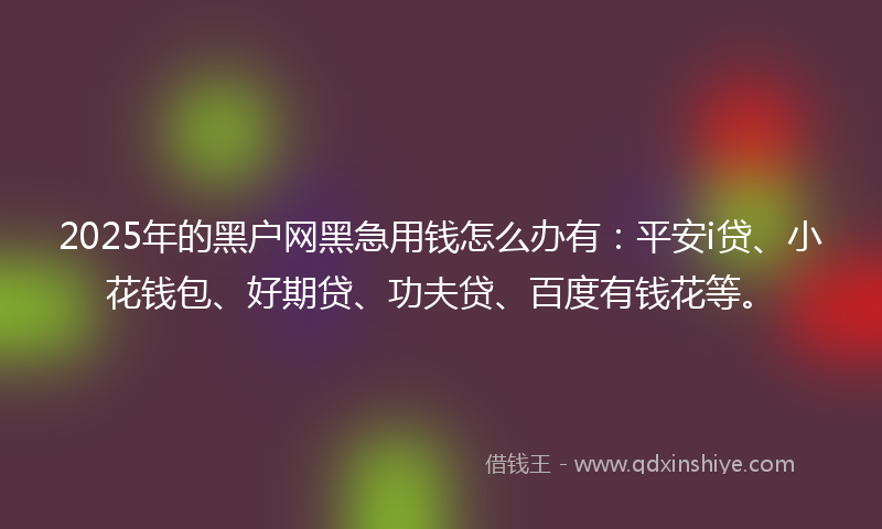 2025年的黑户网黑急用钱怎么办有：平安i贷、小花钱包、好期贷、功夫贷、百度有钱花等。