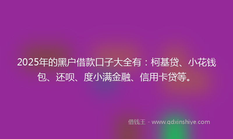 2025年的黑户借款口子大全有：柯基贷、小花钱包、还呗、度小满金融、信用卡贷等。