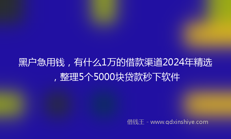 黑户急用钱，有什么1万的借款渠道2024年精选，整理5个5000块贷款秒下软件