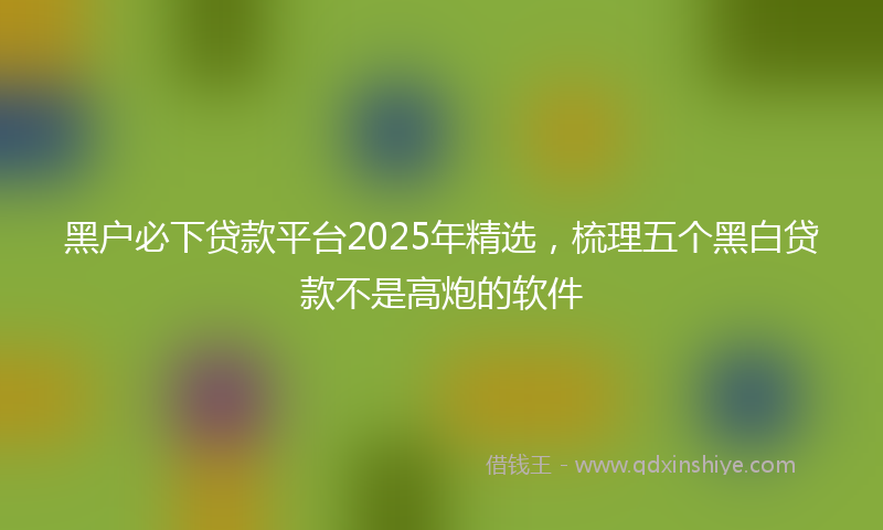 黑户必下贷款平台2025年精选，梳理五个黑白贷款不是高炮的软件