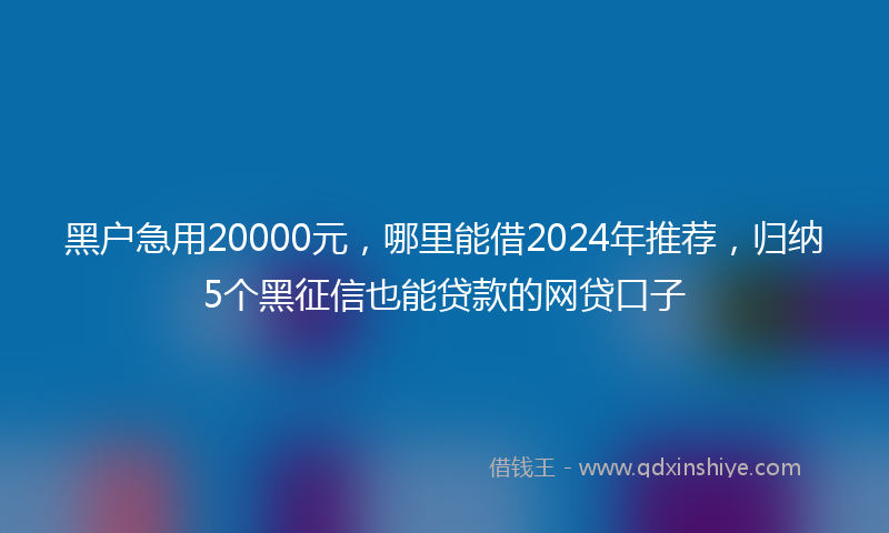 黑户急用20000元，哪里能借2024年推荐，归纳5个黑征信也能贷款的网贷口子