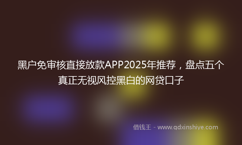 黑户免审核直接放款APP2025年推荐，盘点五个真正无视风控黑白的网贷口子
