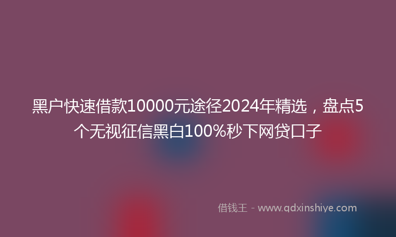 黑户快速借款10000元途径2024年精选，盘点5个无视征信黑白100%秒下网贷口子