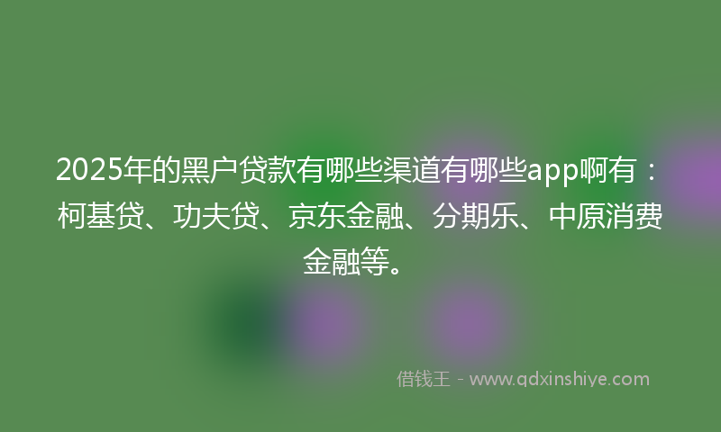 2025年的黑户贷款有哪些渠道有哪些app啊有：柯基贷、功夫贷、京东金融、分期乐、中原消费金融等。