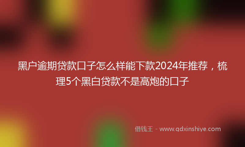 黑户逾期贷款口子怎么样能下款2024年推荐，梳理5个黑白贷款不是高炮的口子