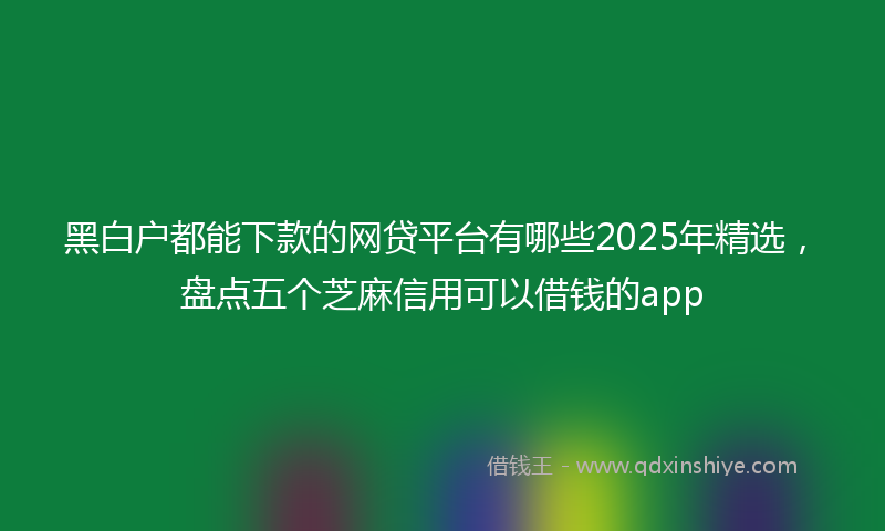 黑白户都能下款的网贷平台有哪些2025年精选，盘点五个芝麻信用可以借钱的app
