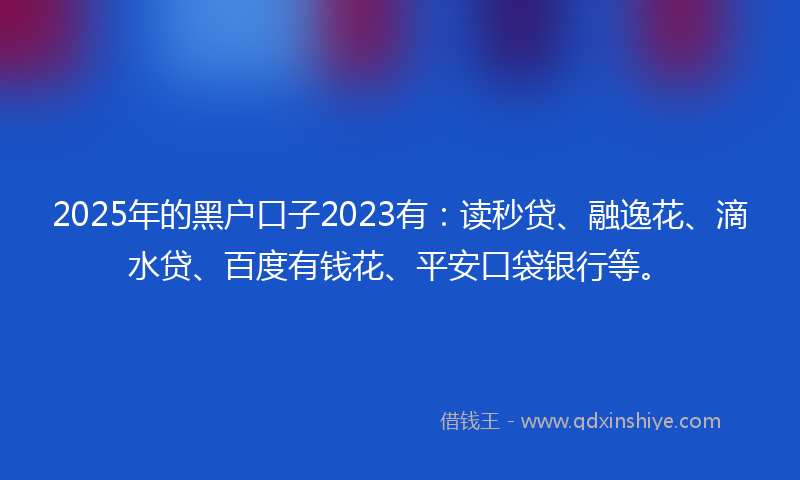 2025年的黑户口子2023有：读秒贷、融逸花、滴水贷、百度有钱花、平安口袋银行等。