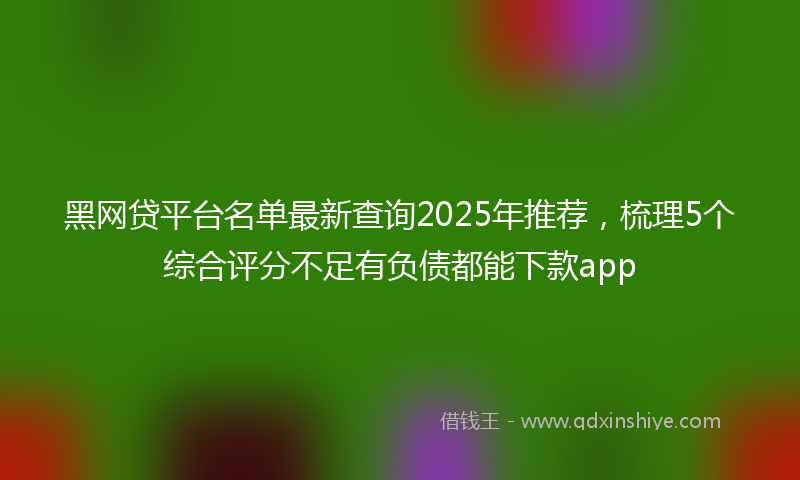 黑网贷平台名单最新查询2025年推荐，梳理5个综合评分不足有负债都能下款app