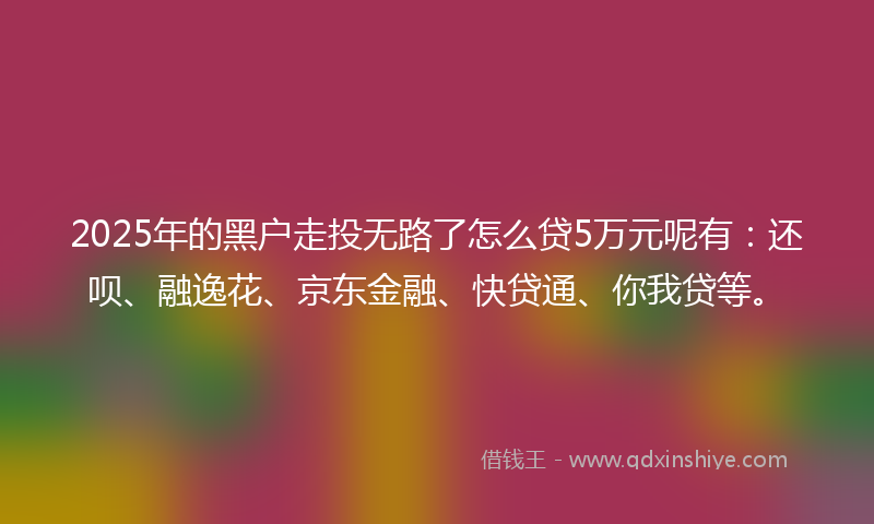 2025年的黑户走投无路了怎么贷5万元呢有：还呗、融逸花、京东金融、快贷通、你我贷等。
