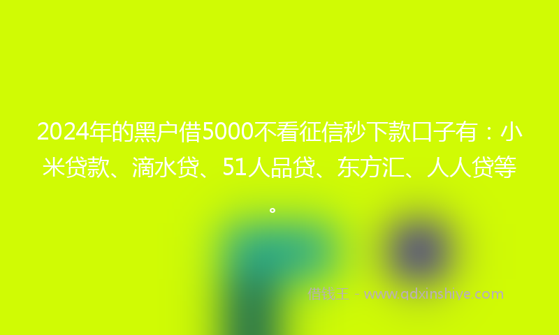 2024年的黑户借5000不看征信秒下款口子有：小米贷款、滴水贷、51人品贷、东方汇、人人贷等。