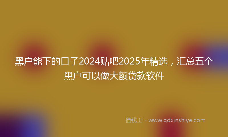 黑户能下的口子2024贴吧2025年精选，汇总五个黑户可以做大额贷款软件
