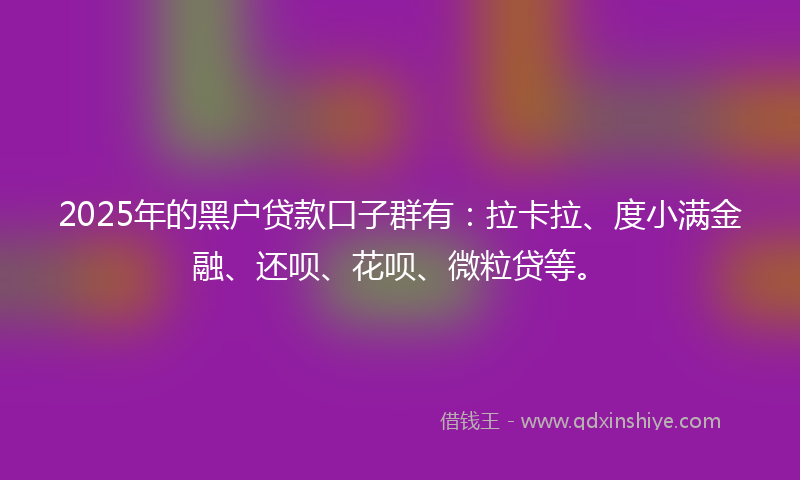 2025年的黑户贷款口子群有：拉卡拉、度小满金融、还呗、花呗、微粒贷等。