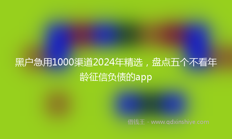 黑户急用1000渠道2024年精选，盘点五个不看年龄征信负债的app