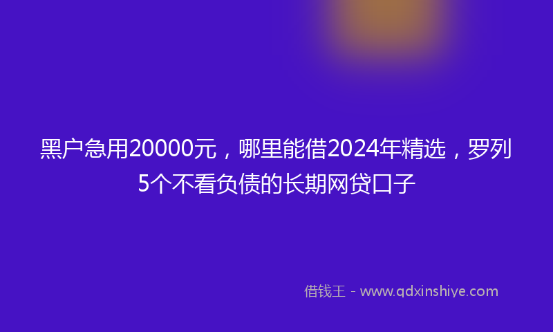 黑户急用20000元，哪里能借2024年精选，罗列5个不看负债的长期网贷口子