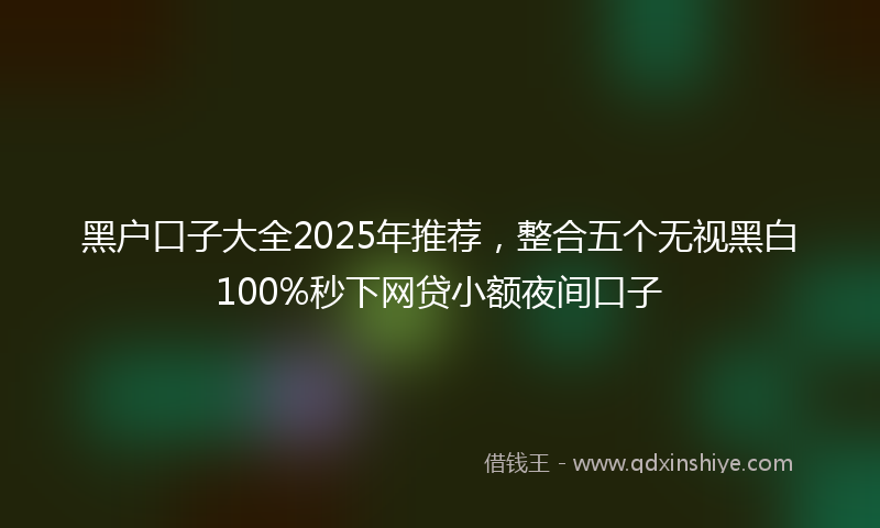 黑户口子大全2025年推荐，整合五个无视黑白100%秒下网贷小额夜间口子
