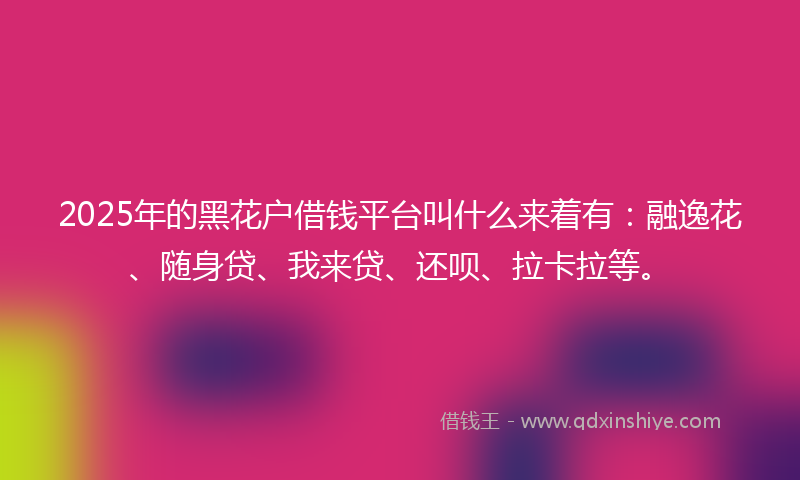 2025年的黑花户借钱平台叫什么来着有：融逸花、随身贷、我来贷、还呗、拉卡拉等。