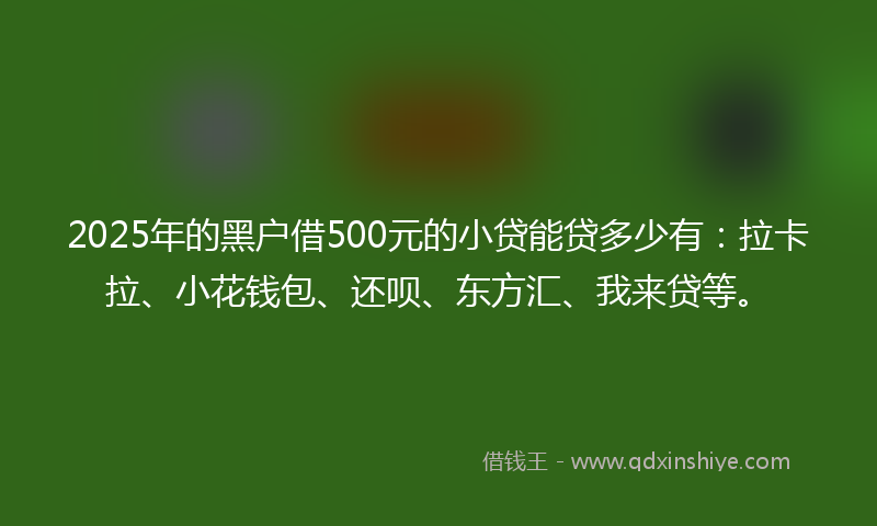 2025年的黑户借500元的小贷能贷多少有：拉卡拉、小花钱包、还呗、东方汇、我来贷等。