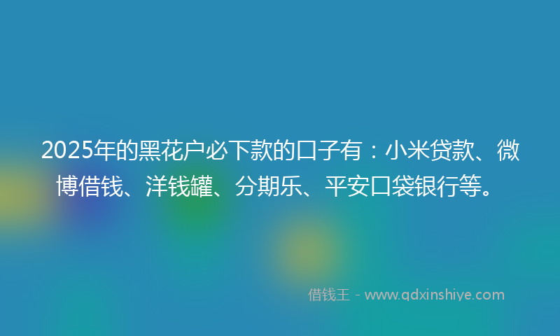 2025年的黑花户必下款的口子有：小米贷款、微博借钱、洋钱罐、分期乐、平安口袋银行等。