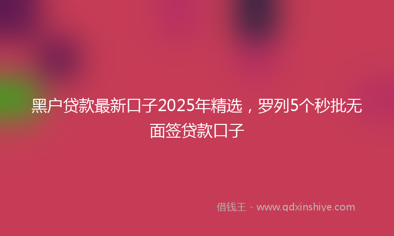 黑户贷款最新口子2025年精选，罗列5个秒批无面签贷款口子