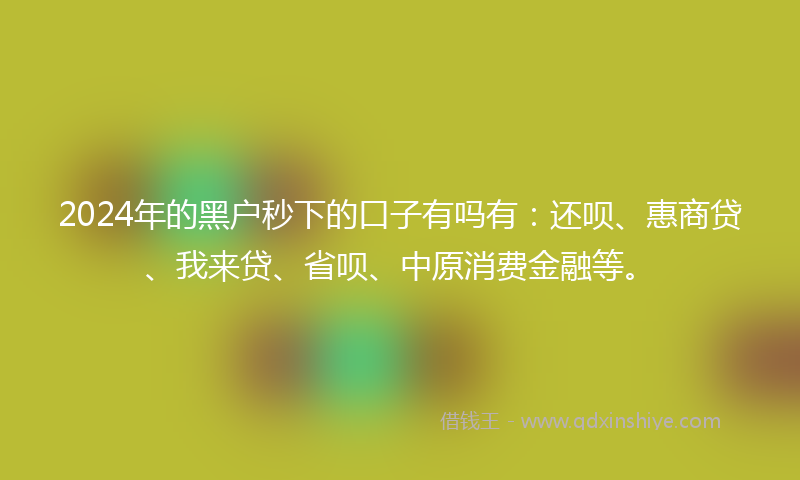 2024年的黑户秒下的口子有吗有：还呗、惠商贷、我来贷、省呗、中原消费金融等。