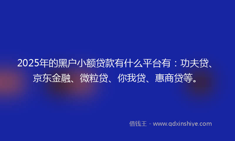 2025年的黑户小额贷款有什么平台有：功夫贷、京东金融、微粒贷、你我贷、惠商贷等。