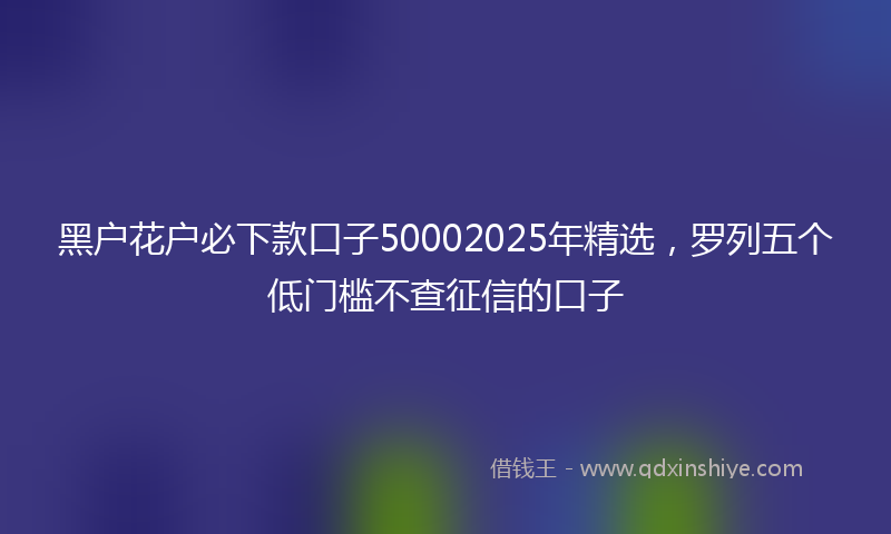 黑户花户必下款口子50002025年精选，罗列五个低门槛不查征信的口子