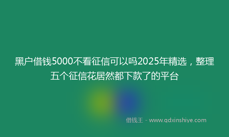 黑户借钱5000不看征信可以吗2025年精选，整理五个征信花居然都下款了的平台