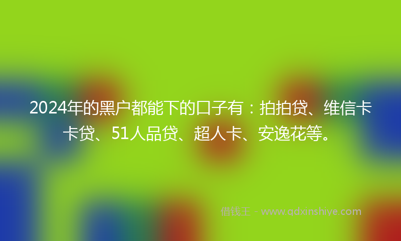 2024年的黑户都能下的口子有：拍拍贷、维信卡卡贷、51人品贷、超人卡、安逸花等。