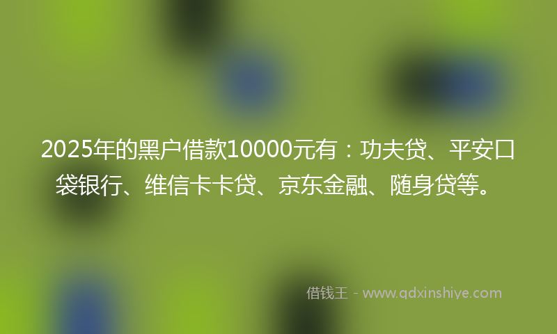 2025年的黑户借款10000元有：功夫贷、平安口袋银行、维信卡卡贷、京东金融、随身贷等。