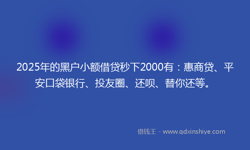 2025年的黑户小额借贷秒下2000有：惠商贷、平安口袋银行、投友圈、还呗、替你还等。