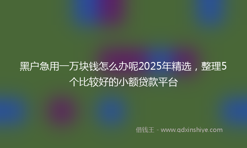 黑户急用一万块钱怎么办呢2025年精选，整理5个比较好的小额贷款平台