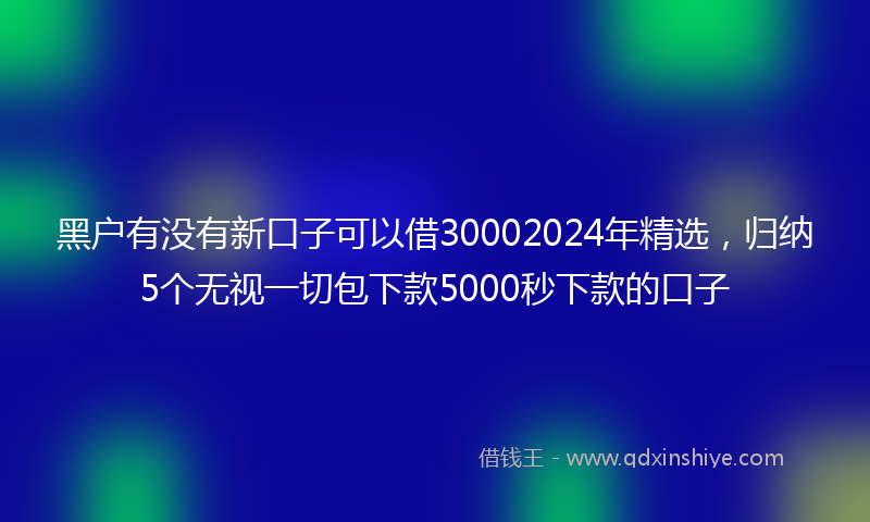 黑户有没有新口子可以借30002024年精选，归纳5个无视一切包下款5000秒下款的口子